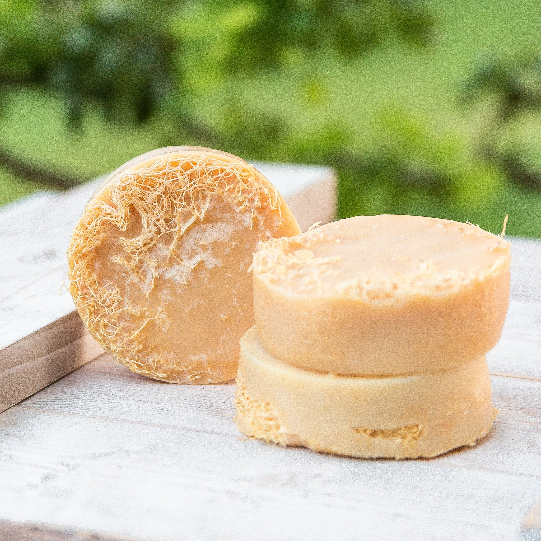 Loofah Infused Goat Milk Soaps